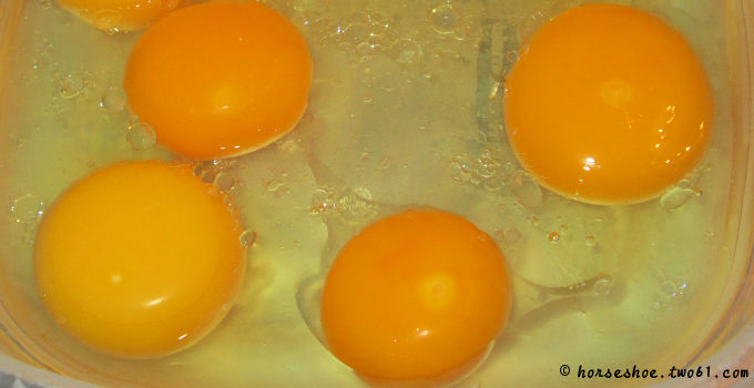 fertilized eggs