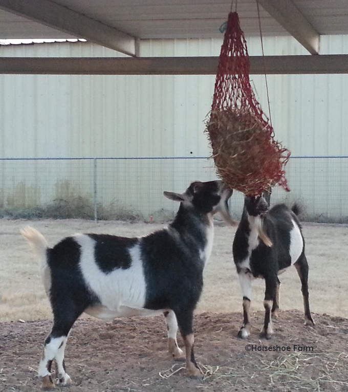 goat toy hay net