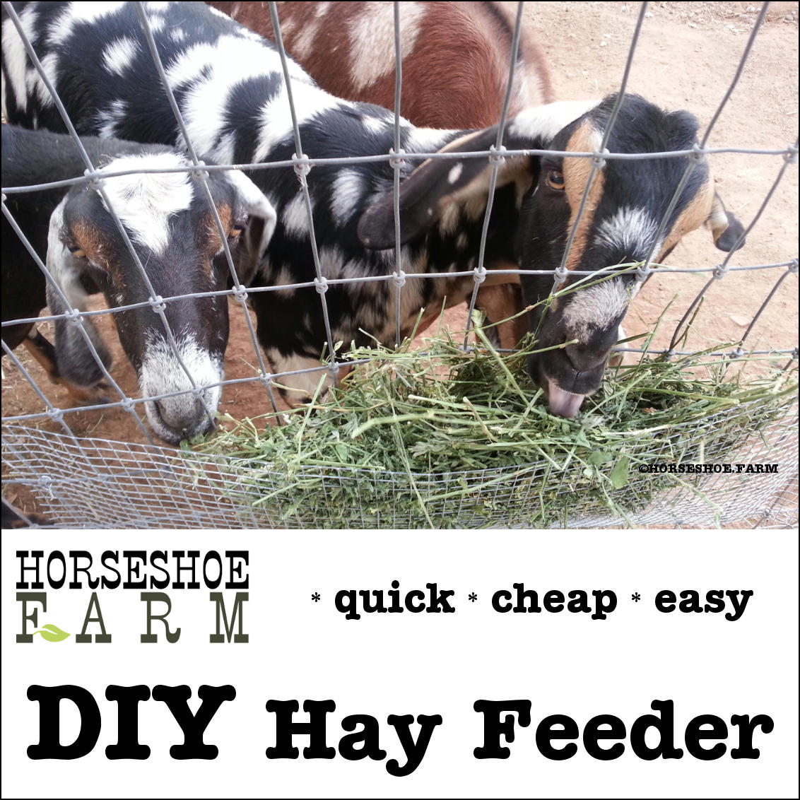 diy hay feeder | horseshoe farm