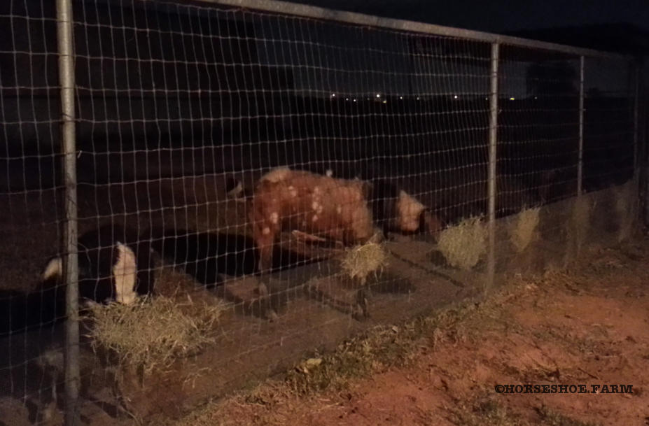 diy hay feeder